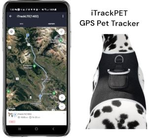 Inexpensive Dog Security Surveillance Pocket GPS Pets Tracking Device Size:XL