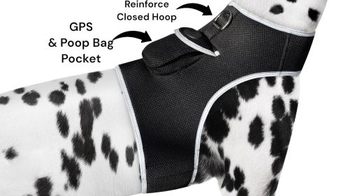 Mini Pet Tracking Collar Wireless Surveillance Security for Cats Dogs Size:XL