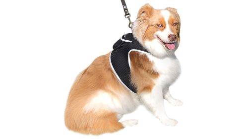 Pet Security Mini GSM GPS Collars for Dogs Realtime Waterproof Tracker Size:XL