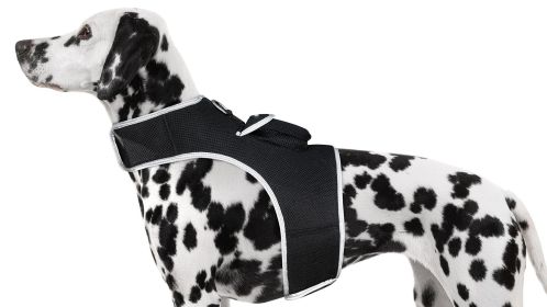 Get Accurate Pet Locations w/ Pet Tracker Realtime Dog Collar GPS Tracker Size:XXL