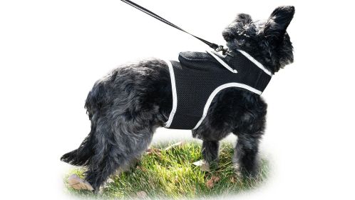 GPS Pet Tracking Device Rechargeable Collar Mount Portable Dog Tracker Size:L